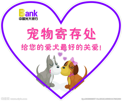 宠物寄存服务 为您的爱宠提供安心之家